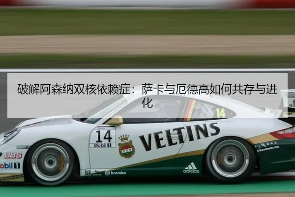 破解阿森纳双核依赖症：萨卡与厄德高如何共存与进化